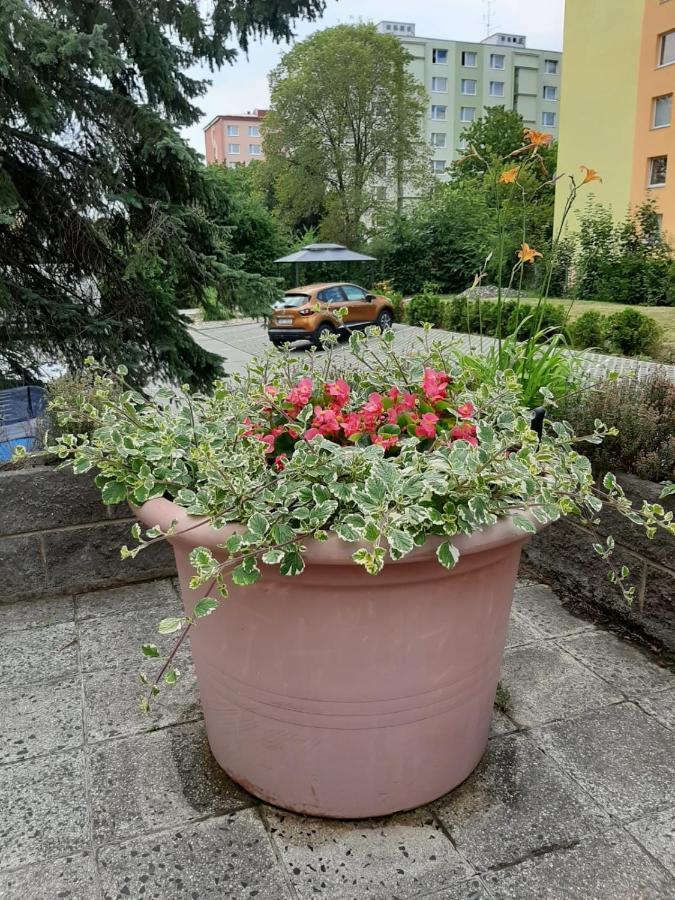 Zluty Apartman A6 V Chomutove Exterior photo